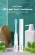 GlorySmile GlorySmile battery powered toothbrush factory for teeth 2