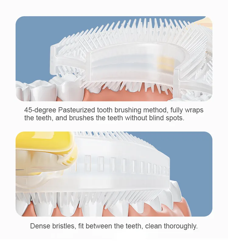GlorySmile Bulk buy ODM battery powered toothbrush for business for teeth 5
