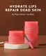 GlorySmile Bulk purchase custom lip balm bulk wholesale Supply 2