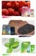GlorySmile 3d teeth whitening strips manufacturers for home usage1 2