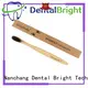 GlorySmile charcoal toothbrush from China 1