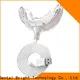 GlorySmile led home teeth whitening light check now for home usage 1
