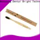 OEM high quality charcoal bristle toothbrush factory 1
