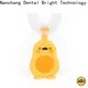 OEM eco friendly electric toothbrush manufacturers for teeth 1