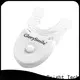 Wholesale best professional teeth whitening light for business for dental bright 1