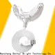 GlorySmile handheld teeth whitening light Suppliers for dental bright 1