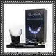 GlorySmile best teeth whitening kit manufacturers for teeth 1