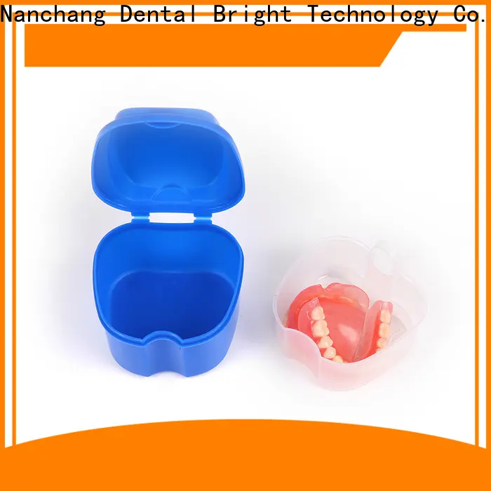 GlorySmile Bulk purchase custom denture cleaning brush factory for whitening teeth 1