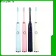 GlorySmile Wholesale ODM battery toothbrush Suppliers for whitening teeth 1