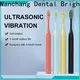 Wholesale custom travel electric toothbrush company for teeth 1