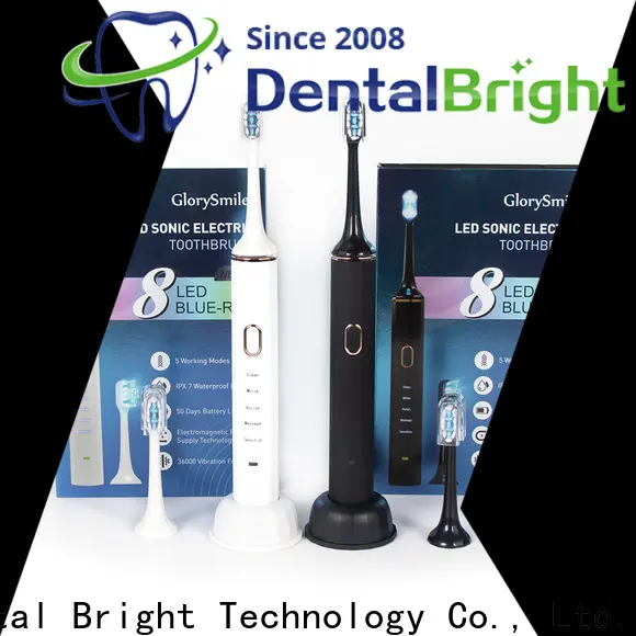 GlorySmile High-quality dentist recommended toothbrush company for teeth 1