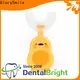 Latest rechargeable toothbrush factory for whitening teeth 1