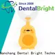 Wholesale best toothbrush for sensitive teeth company for whitening teeth1 1