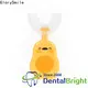 GlorySmile Bulk buy ODM battery powered toothbrush for business for teeth 1