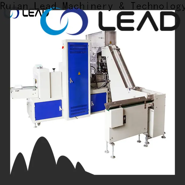 Lead Machinery paper bag packaging factory for toothpick1 1