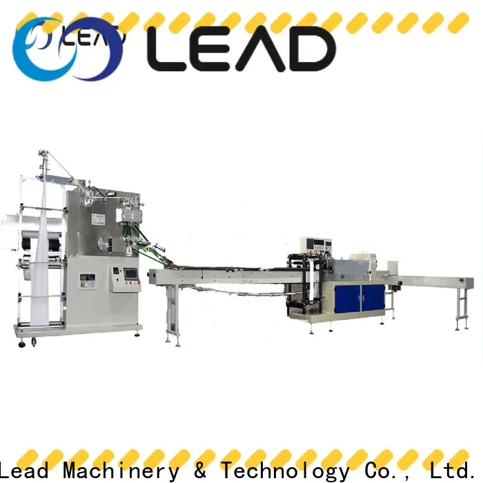 Lead Machinery paper bag packaging machine suppliers for toothpick 1