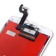 Mobile Accessories Wholesale Suppliers TT / Western Union / Paypal / Alipay / Money Gram / Trade Assurance.etc Wholesale - FOUCS Electronics 6