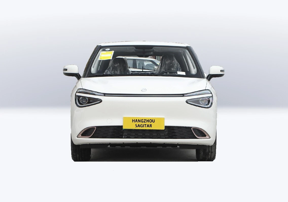 Dongfeng Nano Pure Electric 95 Horsepower 1