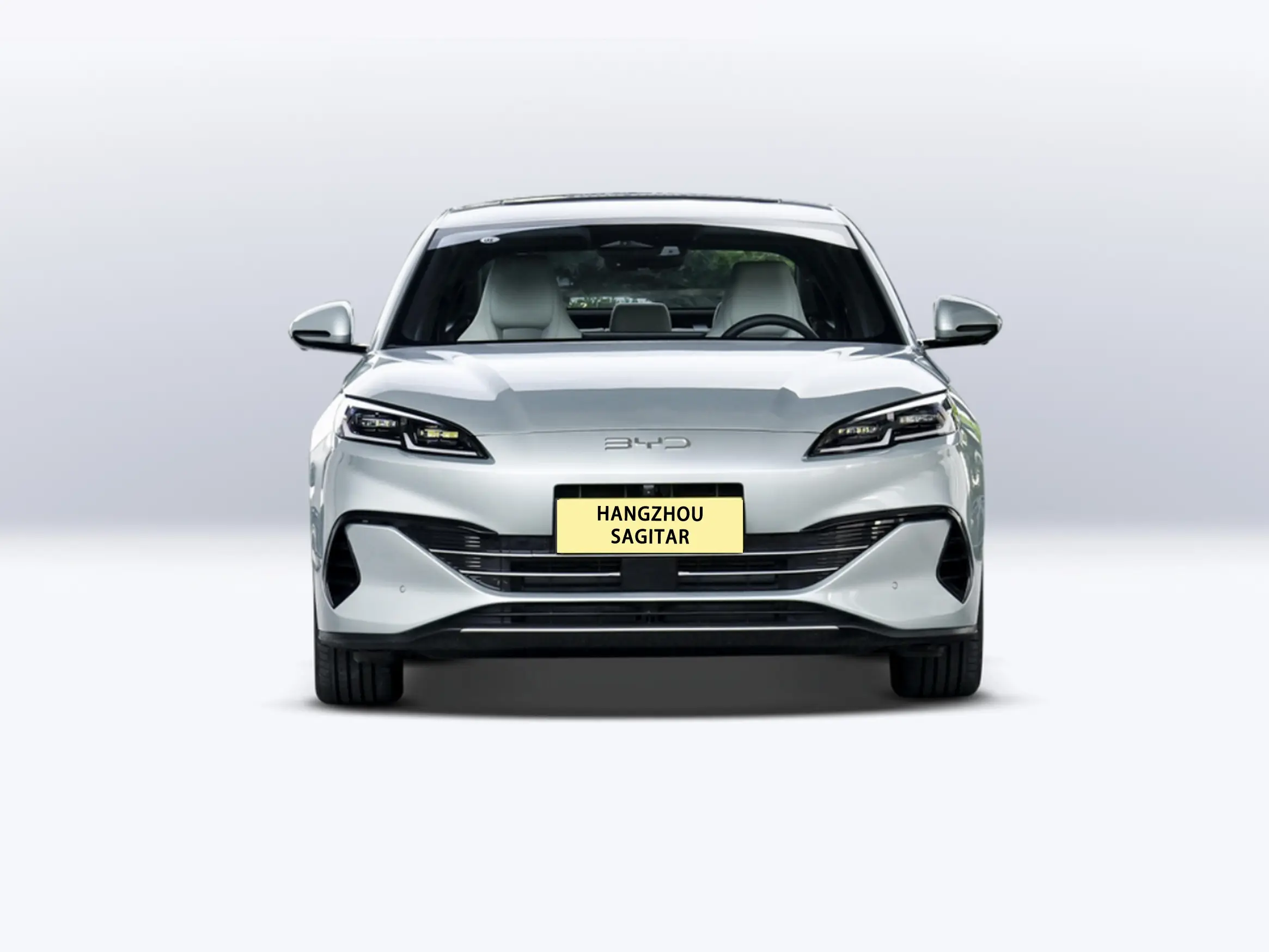 Why Real-World Range Makes the BYD EV a Top Contender 1