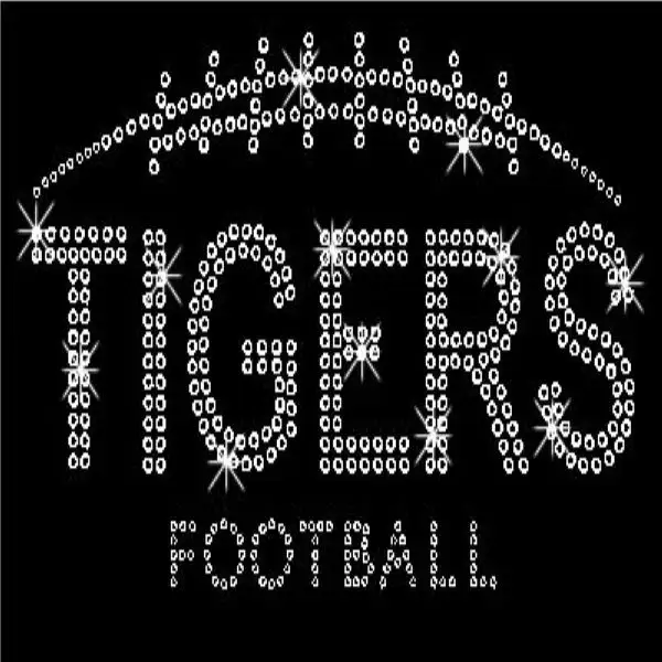 Jpstrass directly buy rhinestones wholesale clothing for ballroom 2