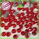 Jpstrass Brand german diy hot fix rhinestone manufacture 1