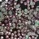 Hot hot fix rhinestone multicolors Jpstrass Brand 2
