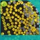 shiny accessory Jpstrass Brand strass hot fix 1