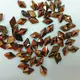 pear shaped flat back rhinestones strass glue Warranty Jpstrass 4
