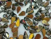 pear shaped flat back rhinestones strass glue Warranty Jpstrass 6