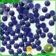 pearl hotfix resin pearl beads for crafts Jpstrass Brand 1