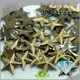 silver flatback 5mm hotfix strass Jpstrass Brand company 1