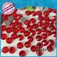 strass hot fix german crystal dress Warranty Jpstrass 1