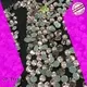 strass hot fix making Bulk Buy crystal Jpstrass 1