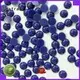 Quality Jpstrass Brand pearl hotfix stones back 1