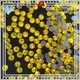 intensive ab german Jpstrass Brand hot fix rhinestone supplier 1