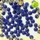 original pearl beads for crafts tshirt for dress Jpstrass 1