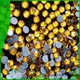 strong hotfix strass supplier for dress Jpstrass 1