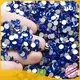 rhinestones bulk rhinestones series for online Jpstrass 1