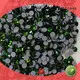 rhinestone applicator rhinestones for party Jpstrass 1