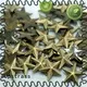 strasssteine hotfix alloy for ballroom Jpstrass 1