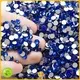 non swarovski crystals wholesale supplier for party 1