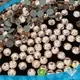 swarovski rhinestones wholesale stone for clothes Jpstrass 1
