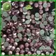Jpstrass flat strass hotfix supplier for ballroom 1