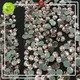 clear rhinestone hotfix manufacturer for ballroom Jpstrass 1