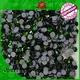 fashionable hotfix strass clothes decoration for party 1