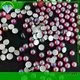 Jpstrass shiny half pearl beads series for online 1