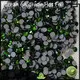 Jpstrass loose hotfix strass series for dress 1