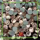 quality hot fix crystals tshirt customization for online 1