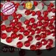 Jpstrass online hot fix stone customization for ballroom 1