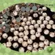Jpstrass quality wholesale loose rhinestones supplier for clothes 1